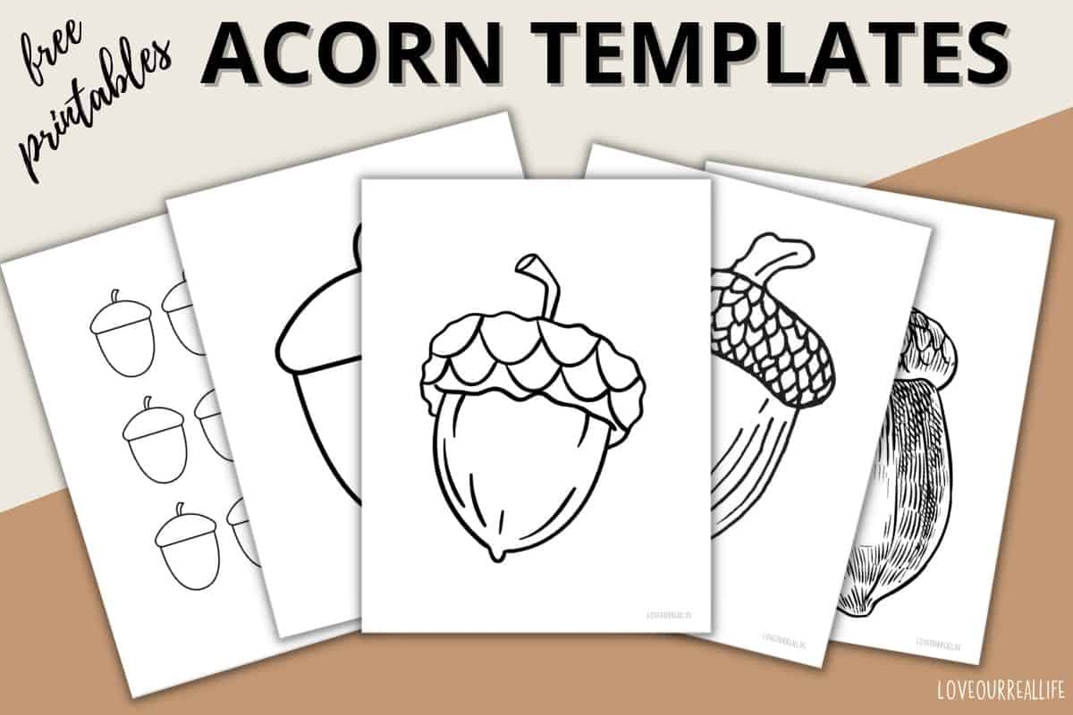 Free Acorn Template Printables Acorn Shapes For Crafts Love Our 