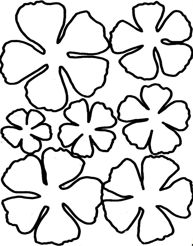 Free Flower Template Printable Download Free Flower Template Printable 