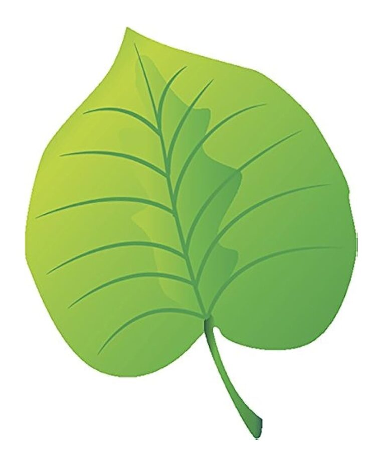 Free Printable Large Leaf Template Free Download And Print For You 