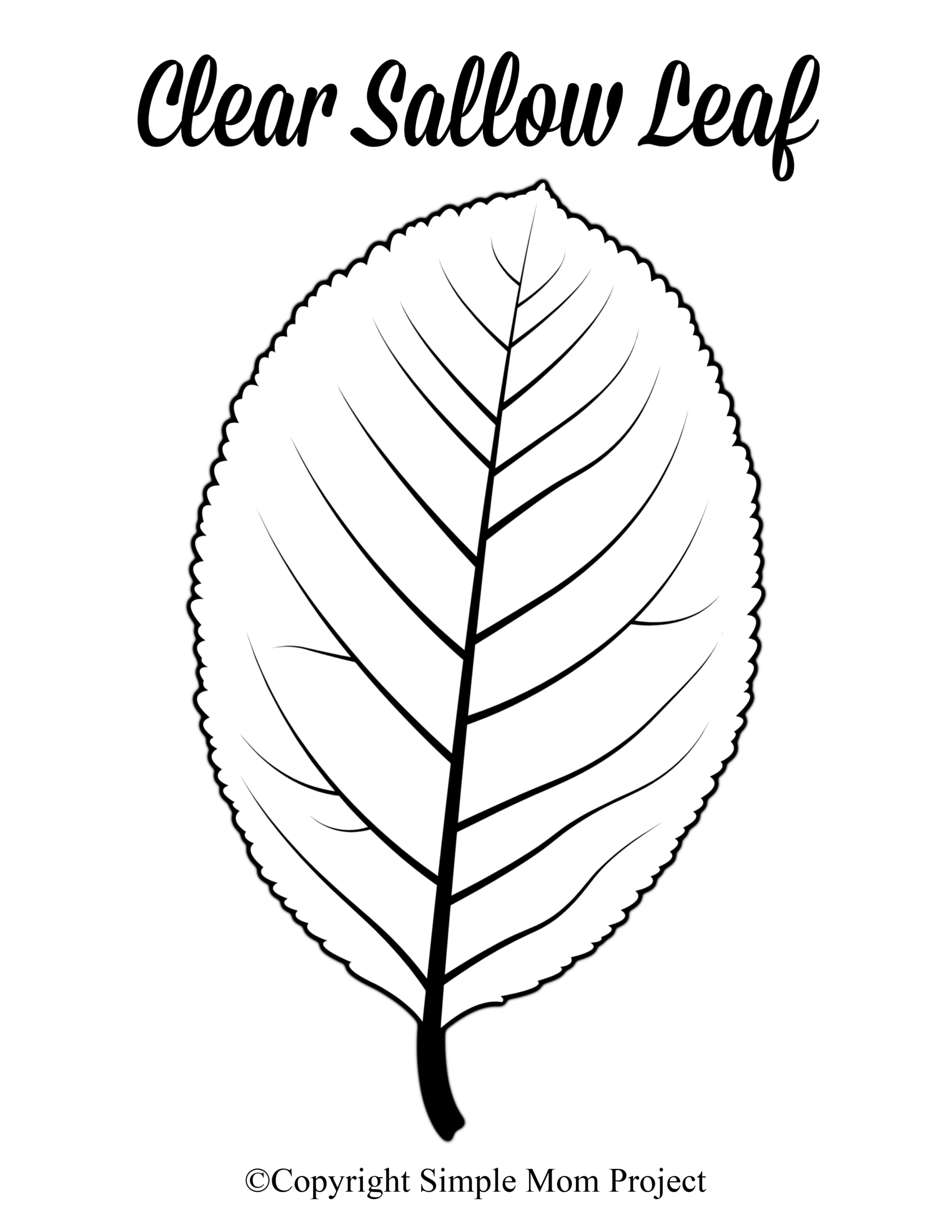 Large Leaf Template Printable 2023 News Tips Review And Tutorial 