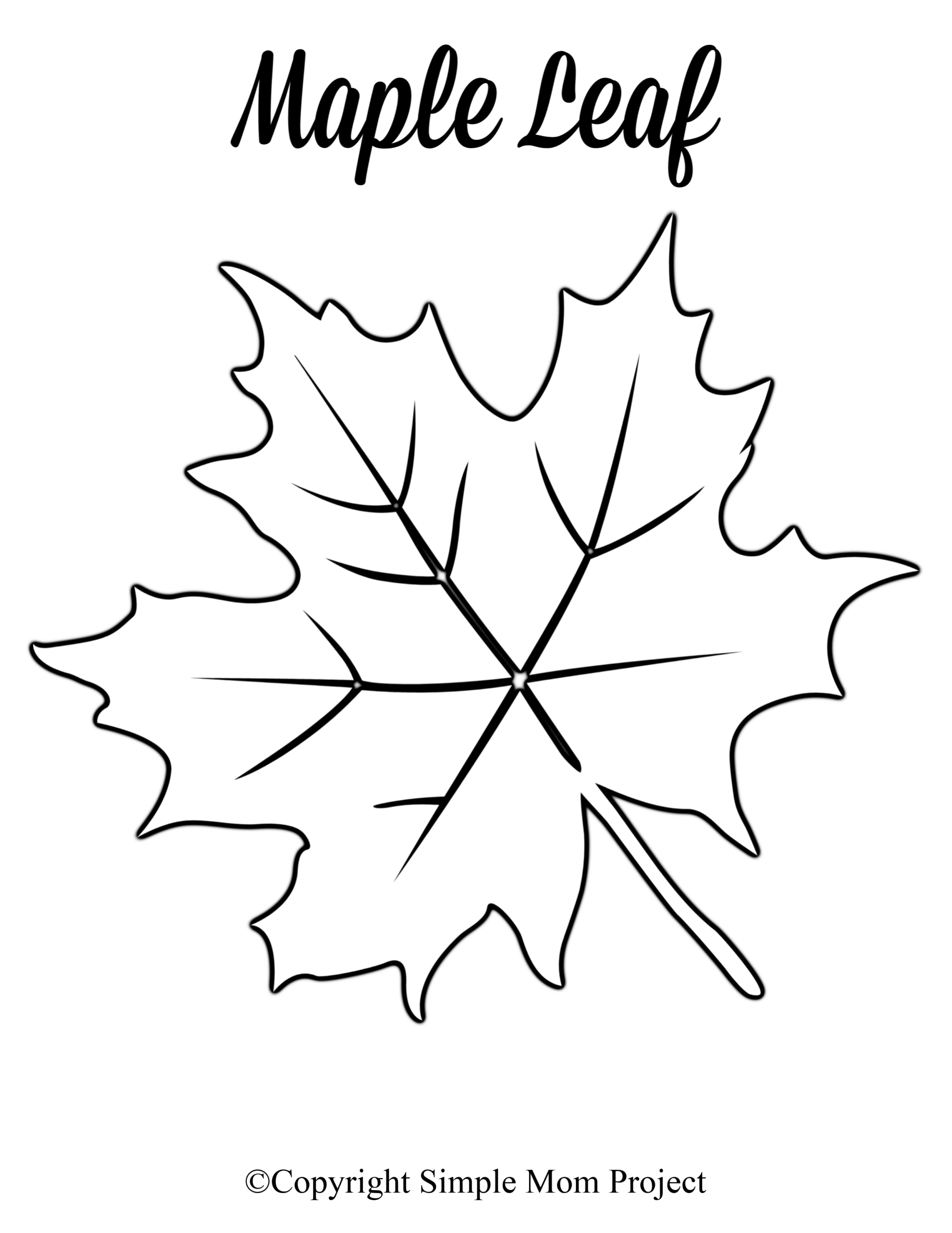 Leaf Template Printable Leaf Templates Leaf Template Vrogue co