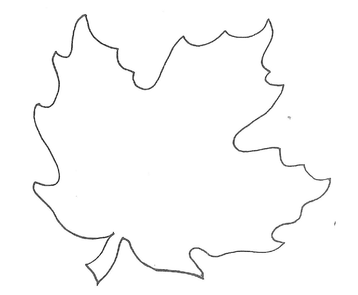Printable Basic Leaf Template Free Download And Print For You 