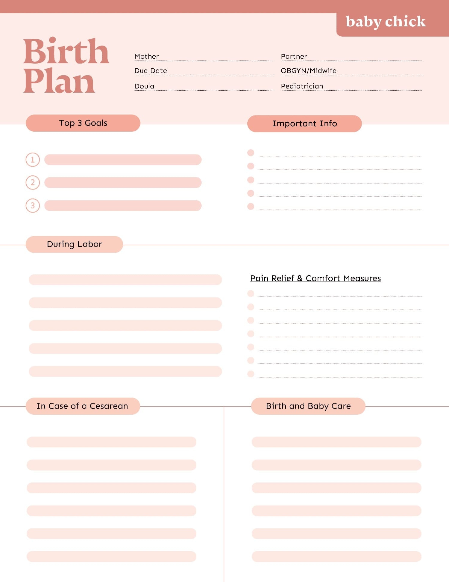 Printable Birth Plan Template PrintableLib