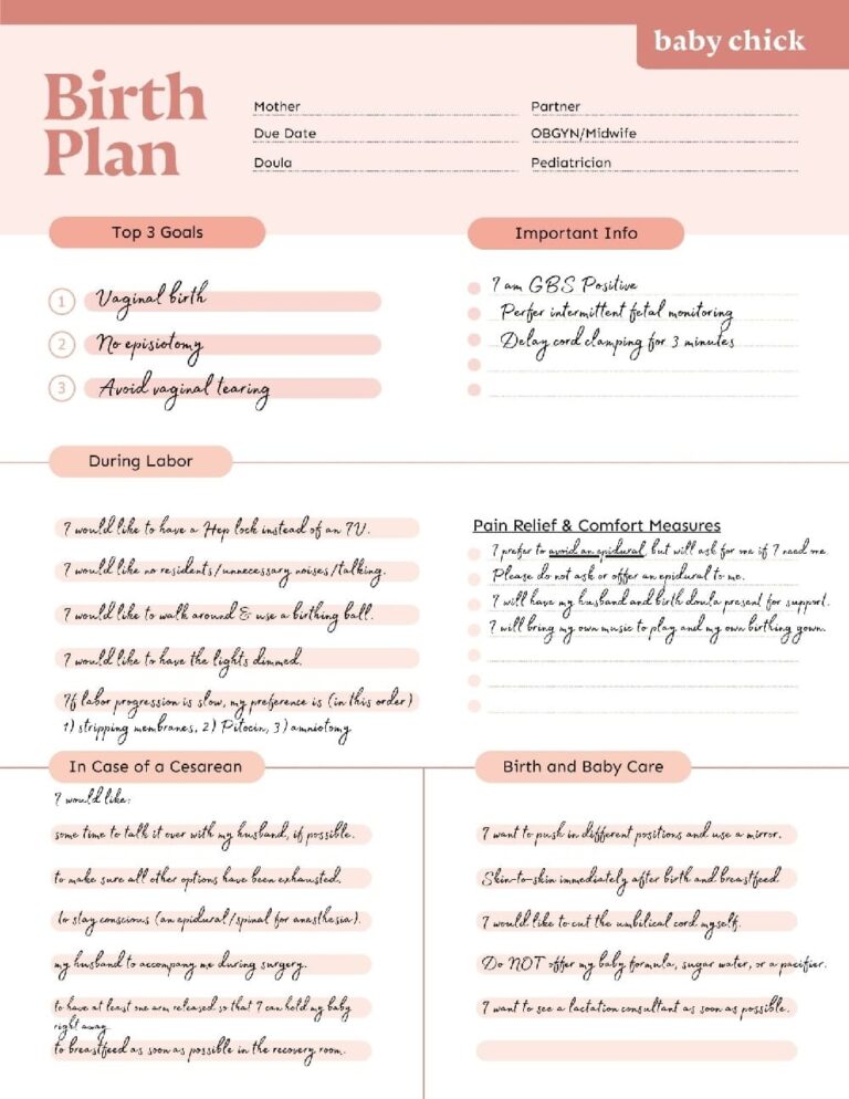 Printable Birth Plan Template PrintableLib