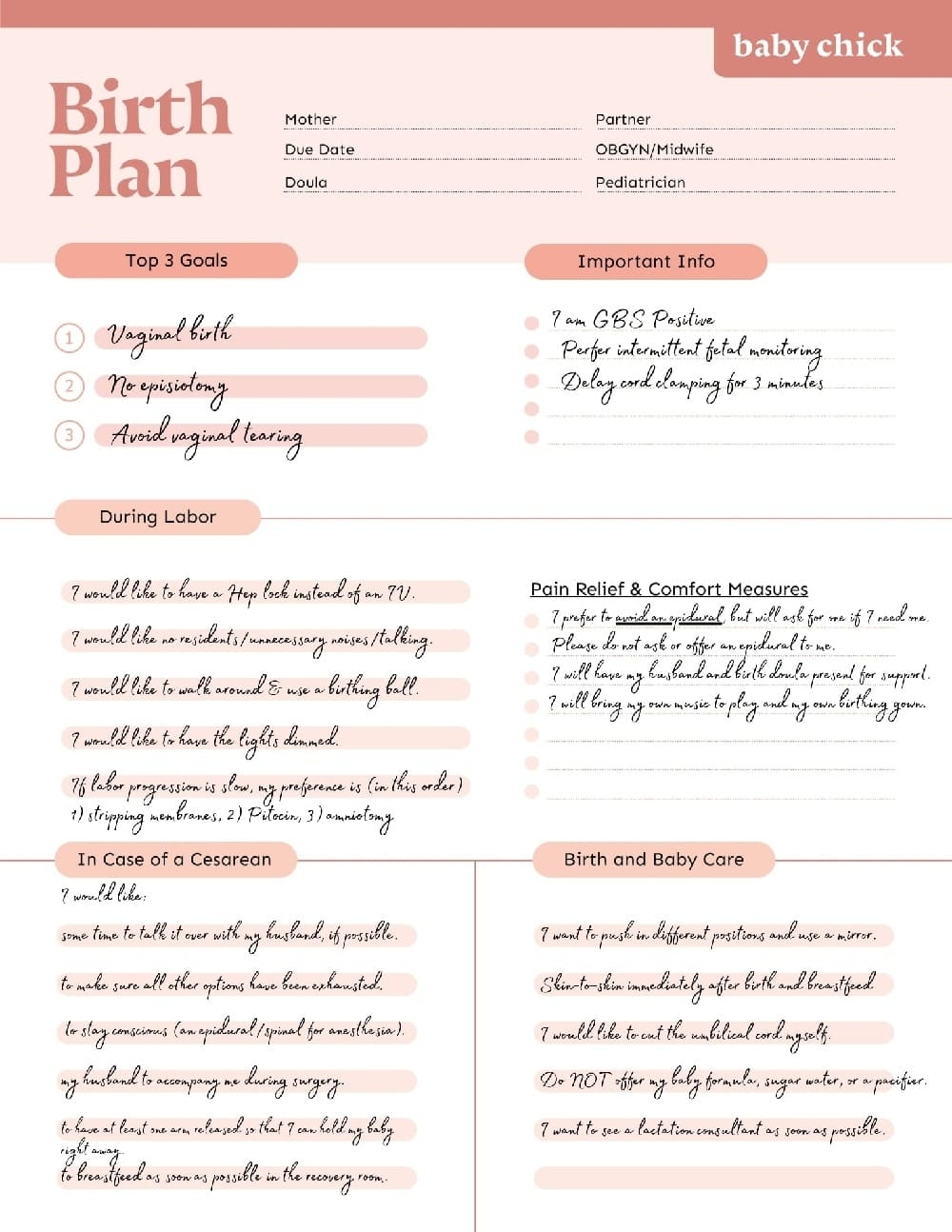 Printable Birth Plan Template PrintableLib