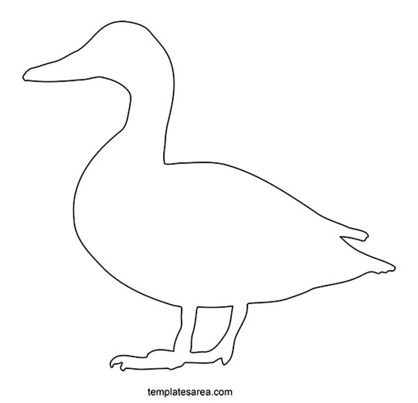 Printable Duck Template TemplatesArea
