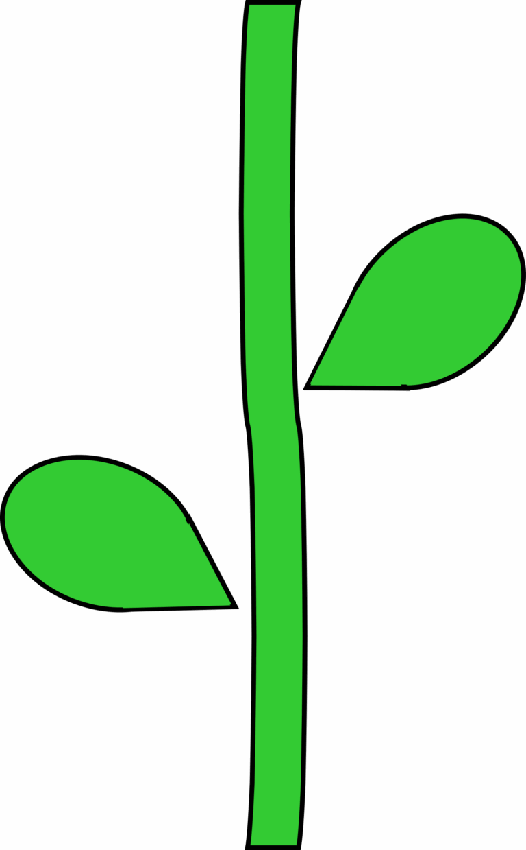 Printable Flower Stem Template Printable Templates Online By Paul 