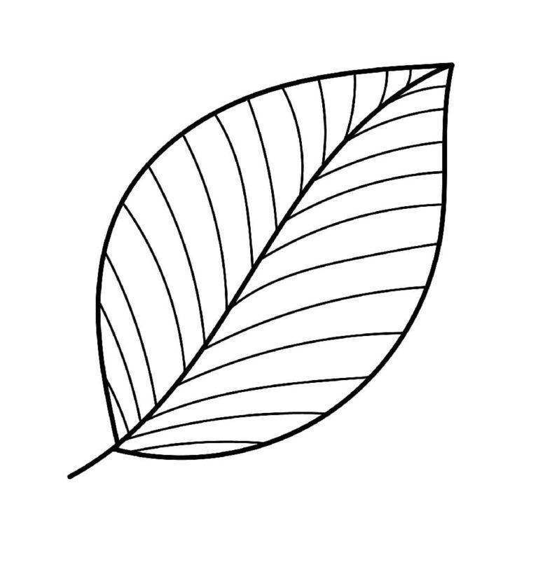 Printable Leaf Template Image Free Download And Print For You 