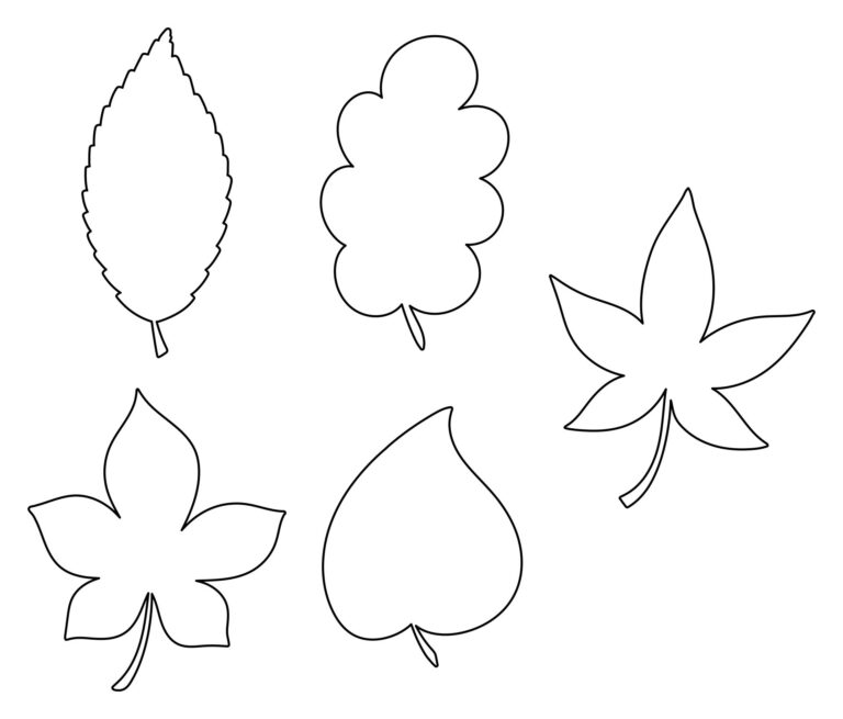 Printable Leaves Template