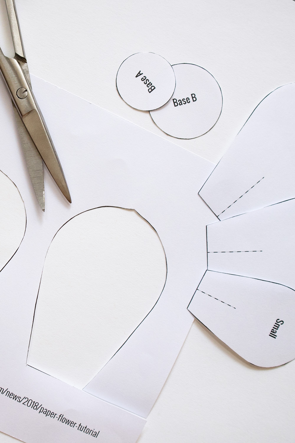 Printable Paper Flower Template Cut Out Best Flower Site