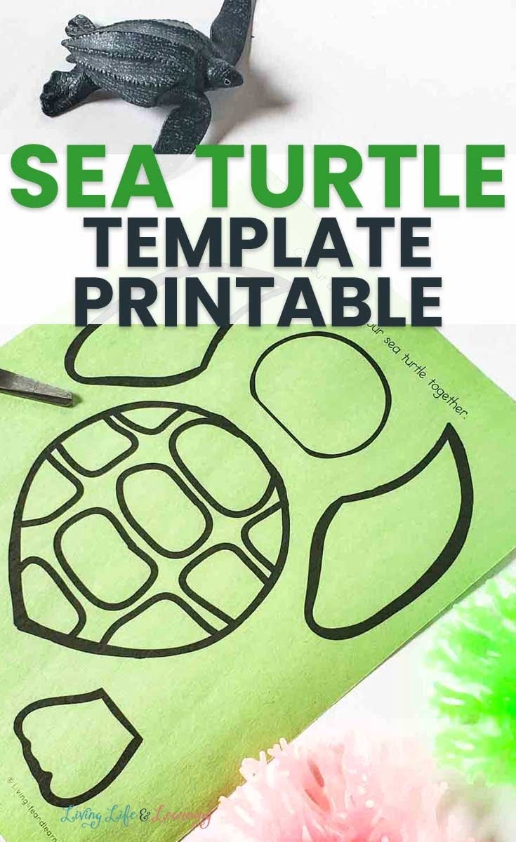 Sea Turtle Template Printable Printable Templates Online By Paul 