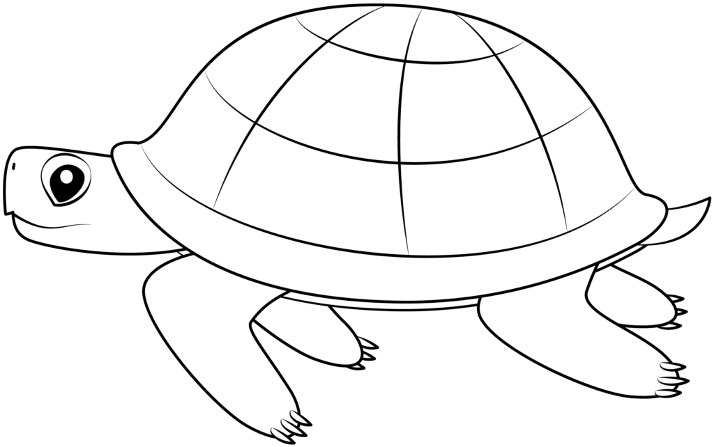 Turtle Printable Template Free Printable Papercraft Templates 